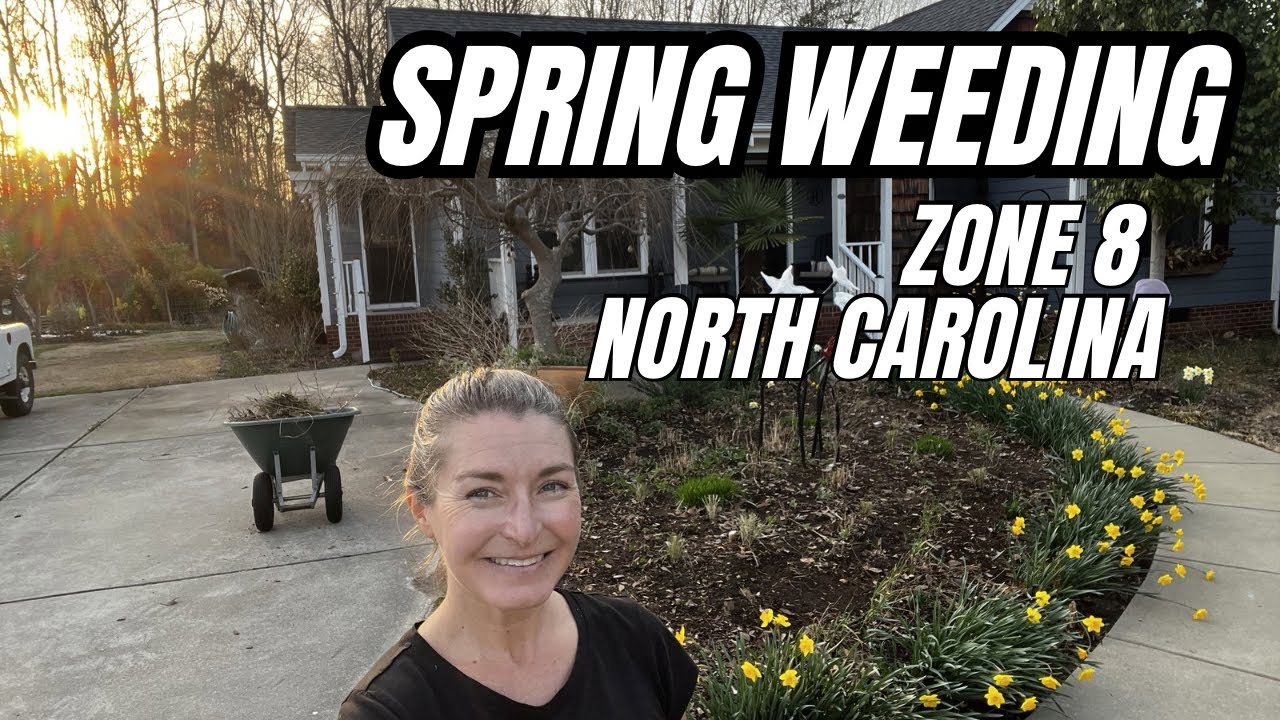 Spring Weeding in zone 8 