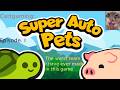 Cattgaming: Super Auto Pets. The Worst team i have ever made in this game!