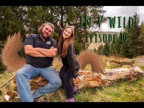 In t' Wild - Episode 10 - Red Squirrels