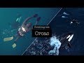 Freediving with Orcas 2018