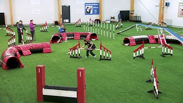 International Agility Training Week - Backside jump with trap obstacle - preview