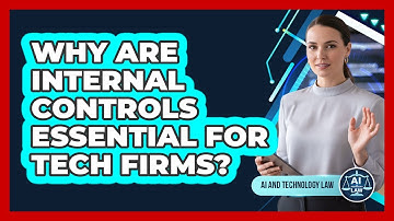 Why Are Internal Controls Essential For Tech Firms?