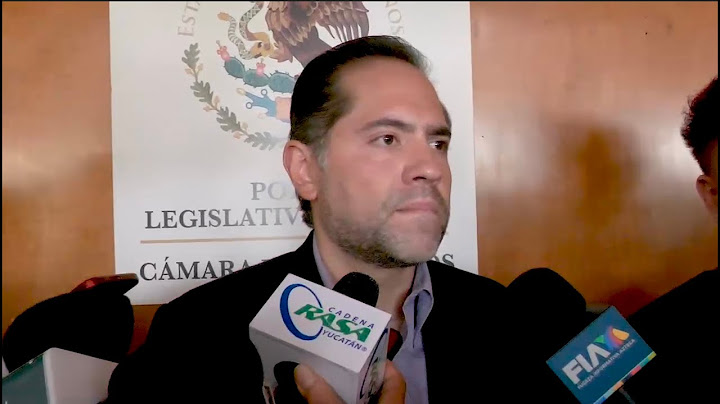 Entrevista | Dip. Raúl Bolaños-Cacho Cué | PVEM | 14/07/2025