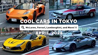 Cool Cars in Tokyo! McLaren, Ferrari, Lamborghini, and More! (April 2024)