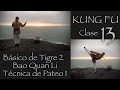 Básico de tigre 2, Bao Quan Li, Técnica de pateo 1, Clase 13 de Kung Fu