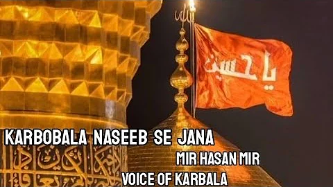 Karbobala Naseeb Se Jana Naseeb Ho | Mir HasanMir | WhatsAppStatus | Voice of Karbala