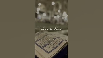 قران كريم فارس عباد #قرآن #قران_كريم #راحة_نفسية #تلاوة_خاشعة #اكسبلور