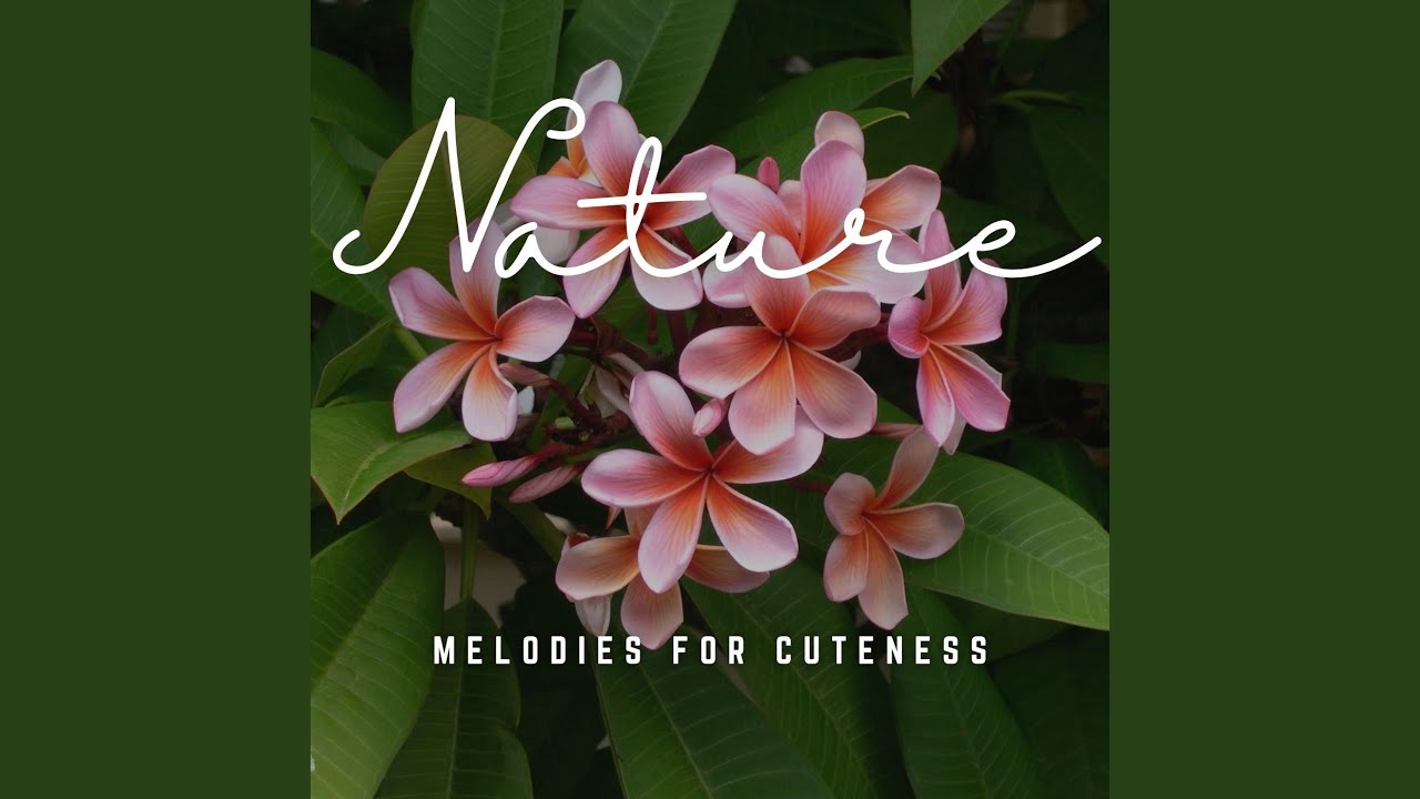 Baby's World of Playful Soundscapes