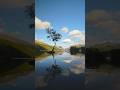 Easy - by AShamaluevMusic | Free Use In Short Videos