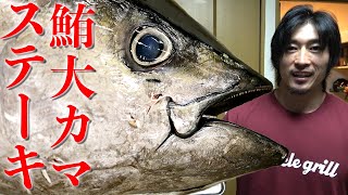 マグロの巨大カマを使ったステーキ！ビストロシャイニー