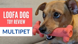 Mulipet Loofa Ruff Latex Squeaky Dog Toy Review