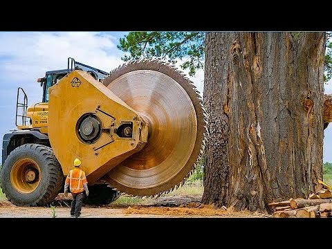 Dangerous Cutting Tree Chainsaw Machine Working, Fastest Removal ...