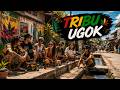 TRIBU UGOK