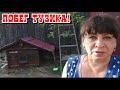 Побег Тузика. Чем все закончилось? Борьба с муравьями. Советы и лайфхаки. Жизнь семьи в деревне.
