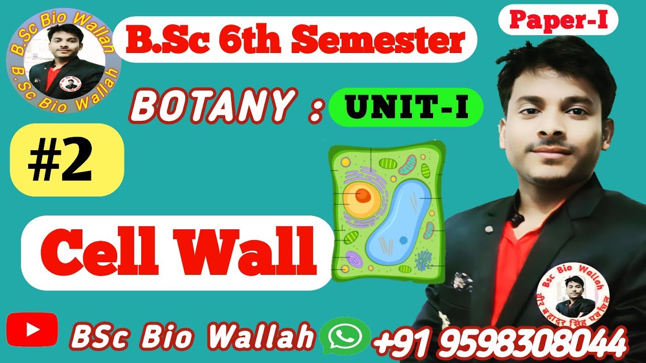 Structure and Function of Cell Wall Bsc 6th sem Unit 1 Botany | Cell ...