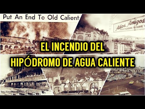 Aprender Inglés - Vocabulario - Casino