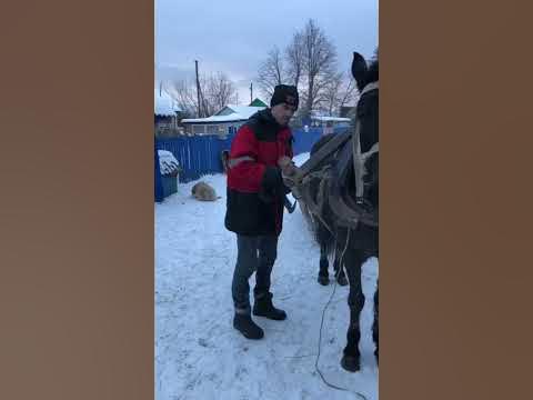 Конь не валялся 😀 - YouTube