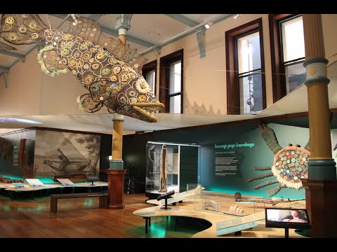 Australian Museum | Short Clip | Discover Aboriginal Experiences | Tourism Australia