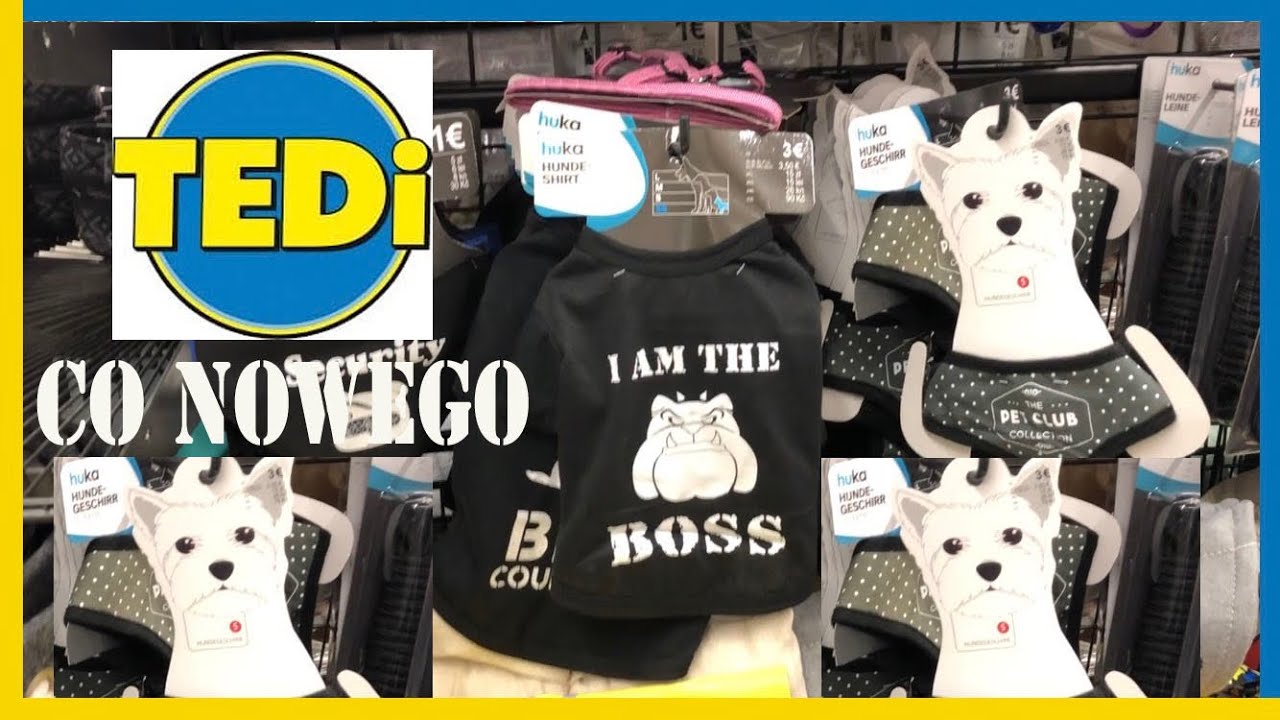 TEDI🔥CO NOWEGO🔥COŚ DLA ZWIERZAKÓW i NIE TYLKO🔥