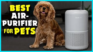 Best Air Purifier For Pets In 2024 Top 5 Picks