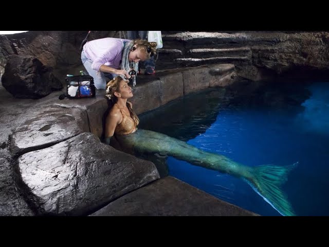 ZDF Studios on X: Happy International Mermaid Day! 🧜‍Have you heard the  rumors? Mermaids have been spotted near Mako Island! With Jonathan M.  Shiff's popular series H2O – Just Add Water:  #