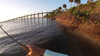 best rod and reel for squid fishing Squid fishing gear