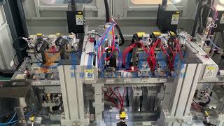 Single and Double Control Switch Automatic Assembly Line