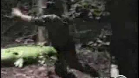 Funny!!! Scare Prank from www metacafe com