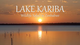 Vogel- Und Wildtiersafari Am Kariba See Musango Safari Camp Simbabwe 2020 4K-Video