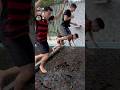 TIRAMOS TODOS OS BICHOS DA PISCINA