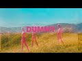 Miniature de la vidéo de la chanson Dummy