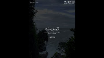 ﴿كل من عليها فان ۝ ويبقى وجه ربك ذو الجلال والإكرام﴾ | القارئ: راشد الحليبة