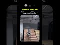 THE STRONGEST INDUSTRIAL ROBOT DOG!