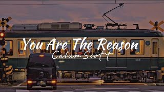 You Are The Reason - Calum Scott (Lyrics)