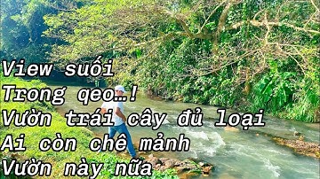 Lớn tuổi rồi...! Không làm nổi cần bán mảnh vườn đầy đủ công năng tâm huyết tại Bà Rịa Vũng Tàu
