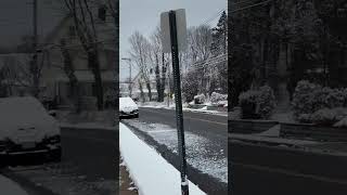 ❄️ Winter Wonderland Street View | Peaceful Snowfall Moments 🌨️ #usa #travel #explorenow