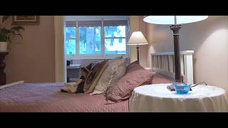 6 Mount Street, Leura