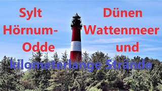 Sylt Südspitze Hörnum - entlang der Dünen, dem Wattenmeer und kilometerlangen Stränden(2021, 4k)