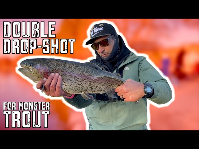 How To Double Drop Shot for MONSTER Trout! Tutorial and Trout Fishing  Action! 