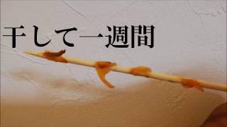 バカガイ（青柳）を干して珍味・姫貝にしよう【NBワークス＃34】