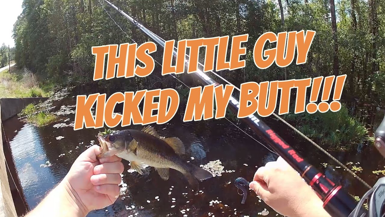 We got out BUTTS kicked,BFS, Bass fishing