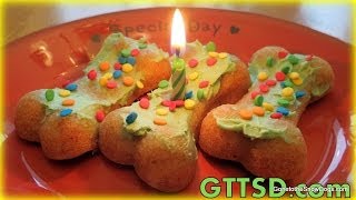 Birthday Pupcakes Homemade Dog Treats Recipe | Snacks with the Snow Dogs 26