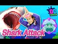 SHARK ATTACK! 🦈 | 🕺Dance Along!! | DD Dance | Dr.Candy &amp; Dragon Dee 💚 | Kids Bop Dance