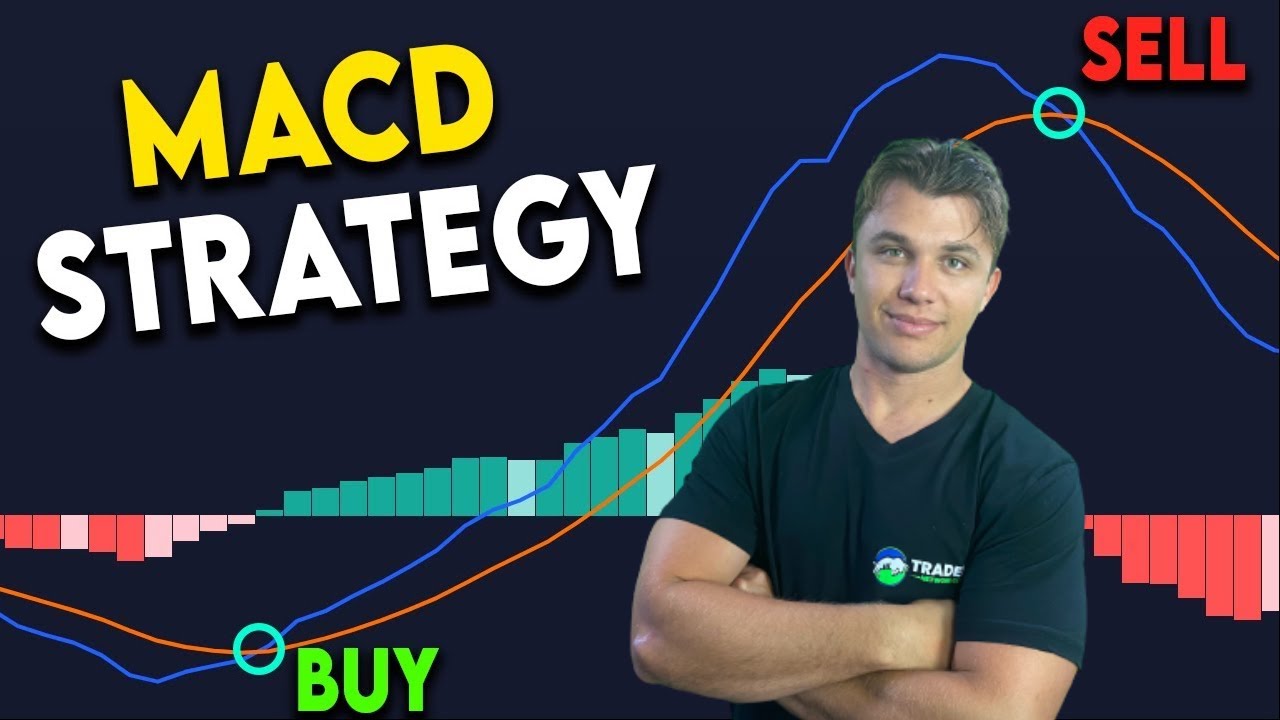 Best MACD Strategy For Trading Forex (Highly Profitable) - YouTube