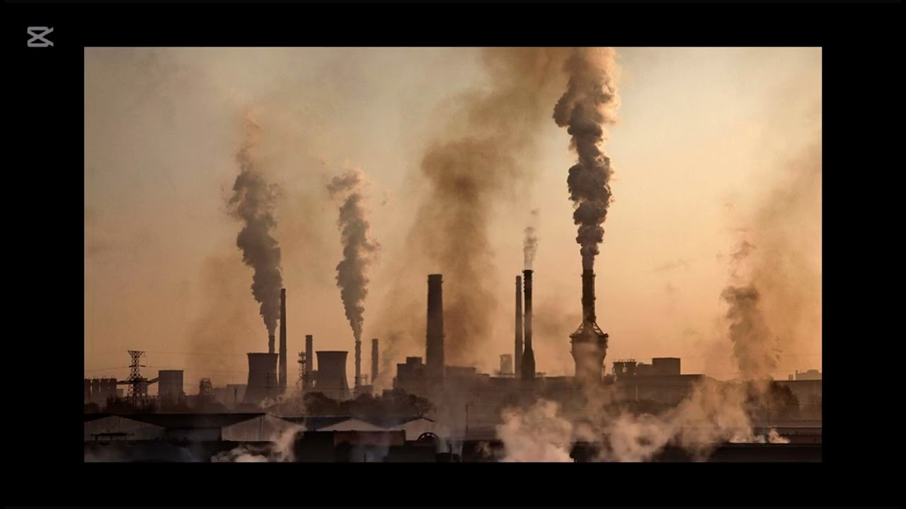 A monster calls video  2