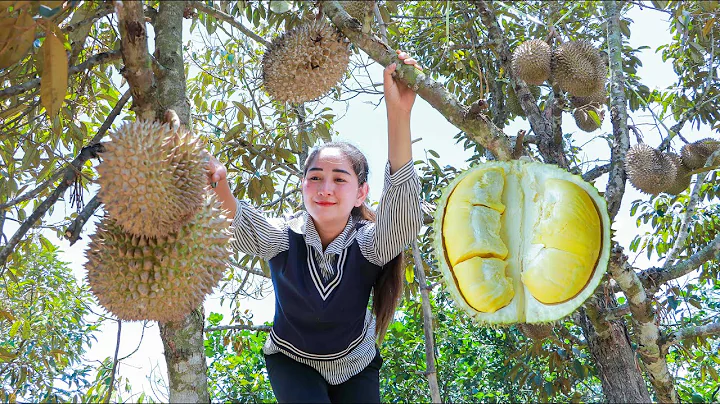 Pick durian fruit for amazing dessert || How to eat durian in my homeland - DayDayNews