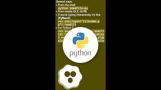 How to execute a file within the Python interpreter? #shorts