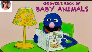 Baby Animals ￼#sesamestreet #preschool #preschoollearning #babyanimals #learningwithmisssadye