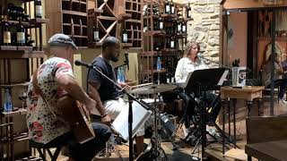 Sit next to me by Foster the People performed at Texas Sun Winery by cover band CPR acoustix
