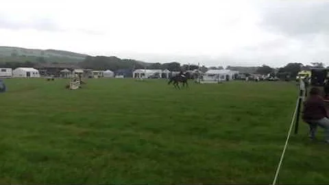 Skipton BE90 Showjumping 2014 Alice Martindale and...
